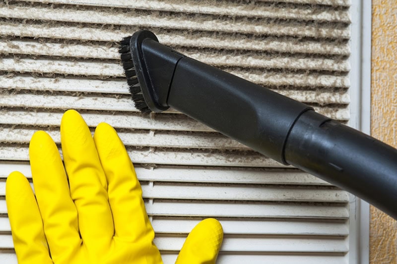 Homeowner cleaning dust from wall vent with vacuum.