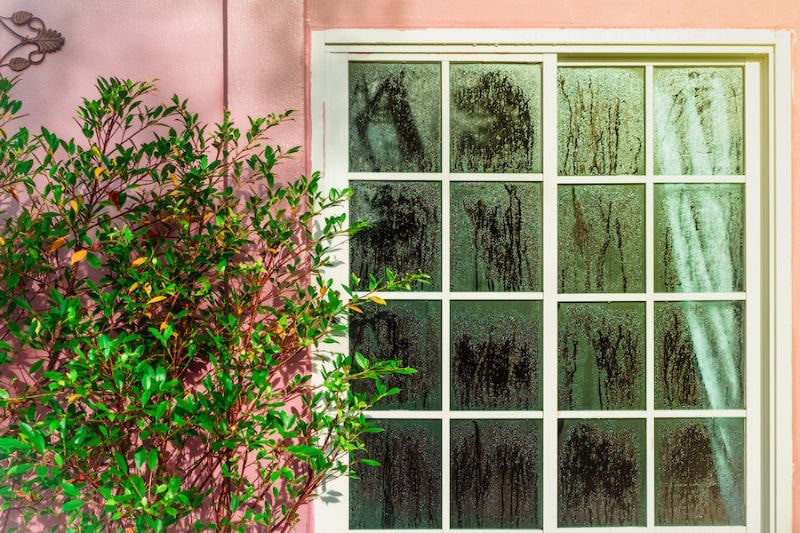 Window condensation showing why you need a dehumidifier in Houston, Texas.
